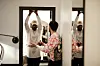 Adam Taal & Kim Cesarion