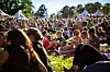 Vaska (eller ta med?) nubben i midsommar och åk till Norge på festival.