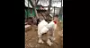 Bild: Youtube