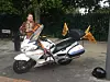 tigermotor.jpg