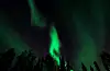 giphy-1_0.gif