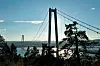 HÖGAKUSTENBRON I ÅNGERMANLAND. Wikimedia