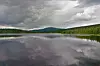 MESKLUMPEN LÄNGS VILDMARKSVÄGEN. Google