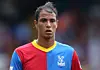 chamakh.jpg