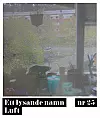 ettlysandenamn25.jpg