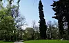 Undvik Kungsparken. Foto, Raphael Saulus.