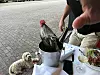 Pierre.