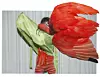 © Viviane Sassen Eudocimus Ruber 2017