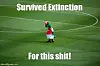 survived.jpeg