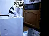 katt14