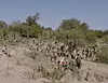Chaco