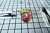 gbg-krog-gazette-drink.jpg