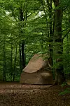 Martin Puryear, Meditation in a Beech Wood, 1996, Wanås Konst