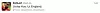 bild_271.png