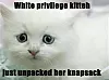 whiteprivilegekitteh.jpg