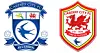 cardiff-city-red-blue-dragons-11.jpg