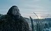 Leonardo DiCaprio