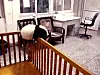 panda7